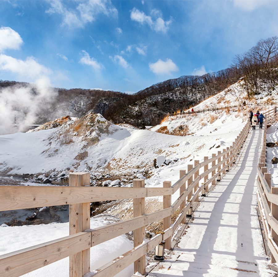 Winter onsens