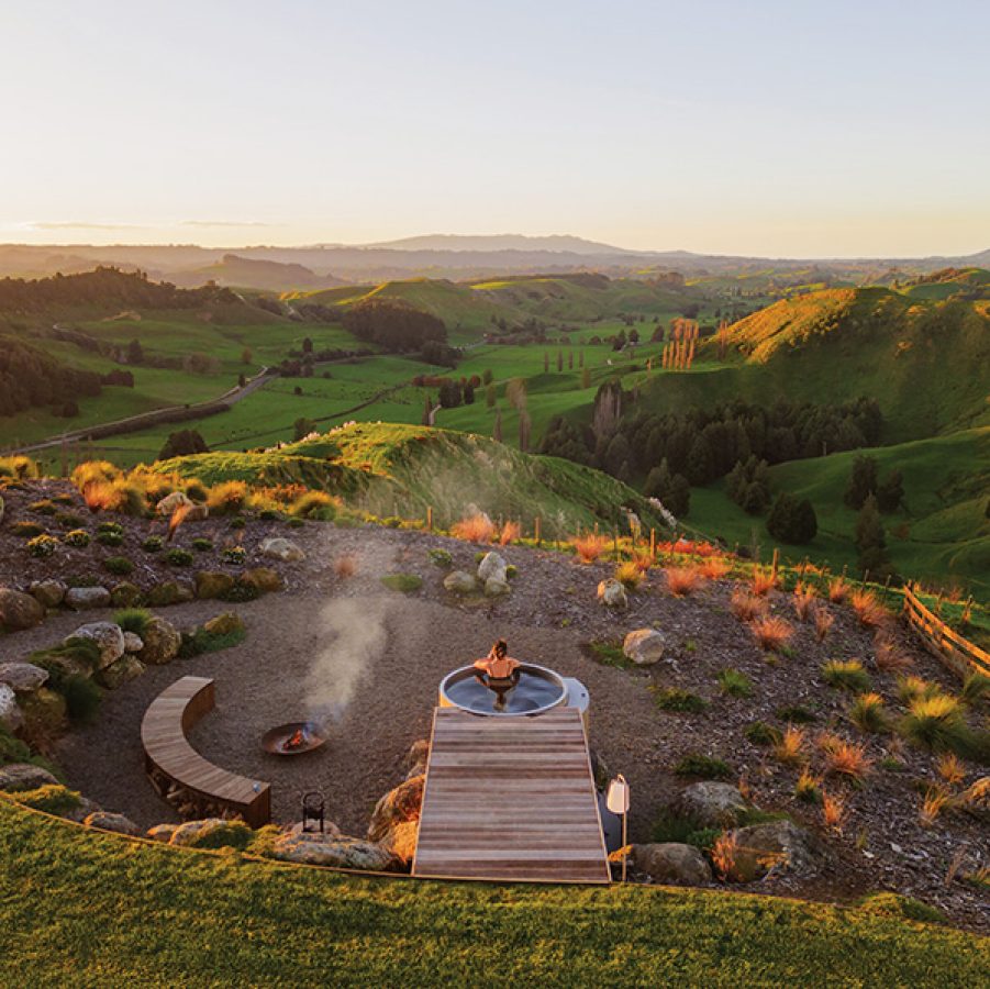 Wild Canvas, Waitomo