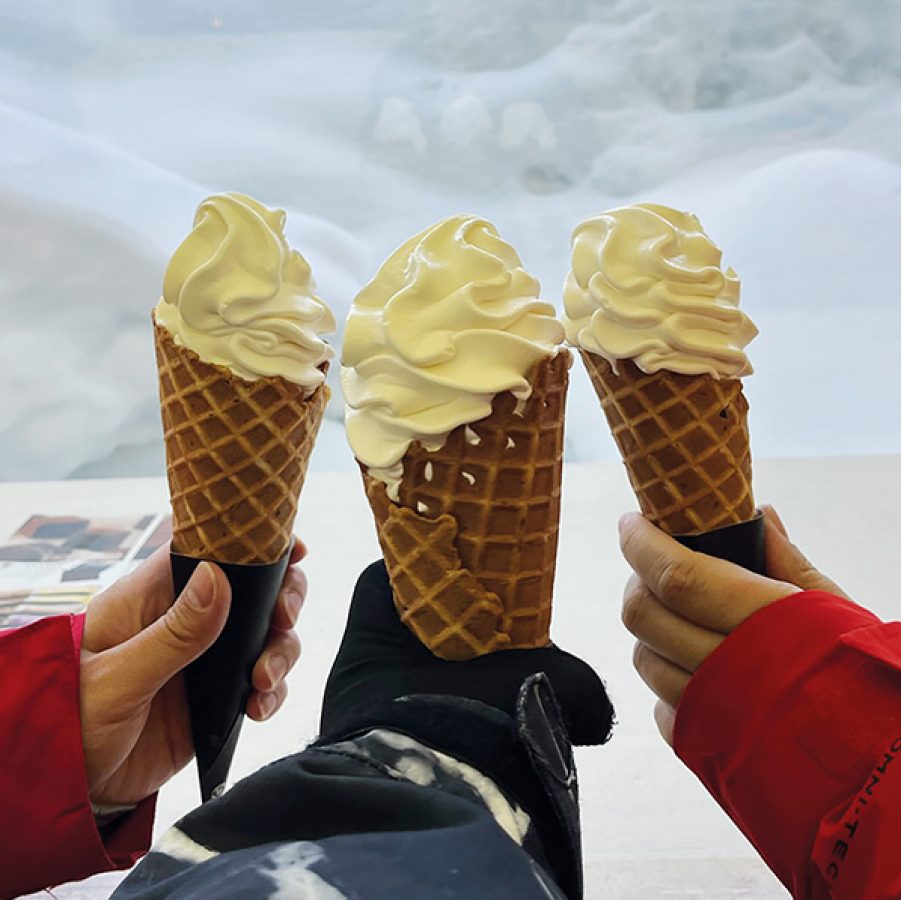 Hokkaido dairy