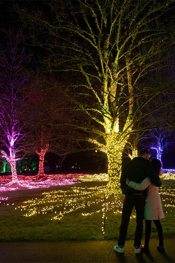 Winter Festival of Lights. Credit: Getty Images