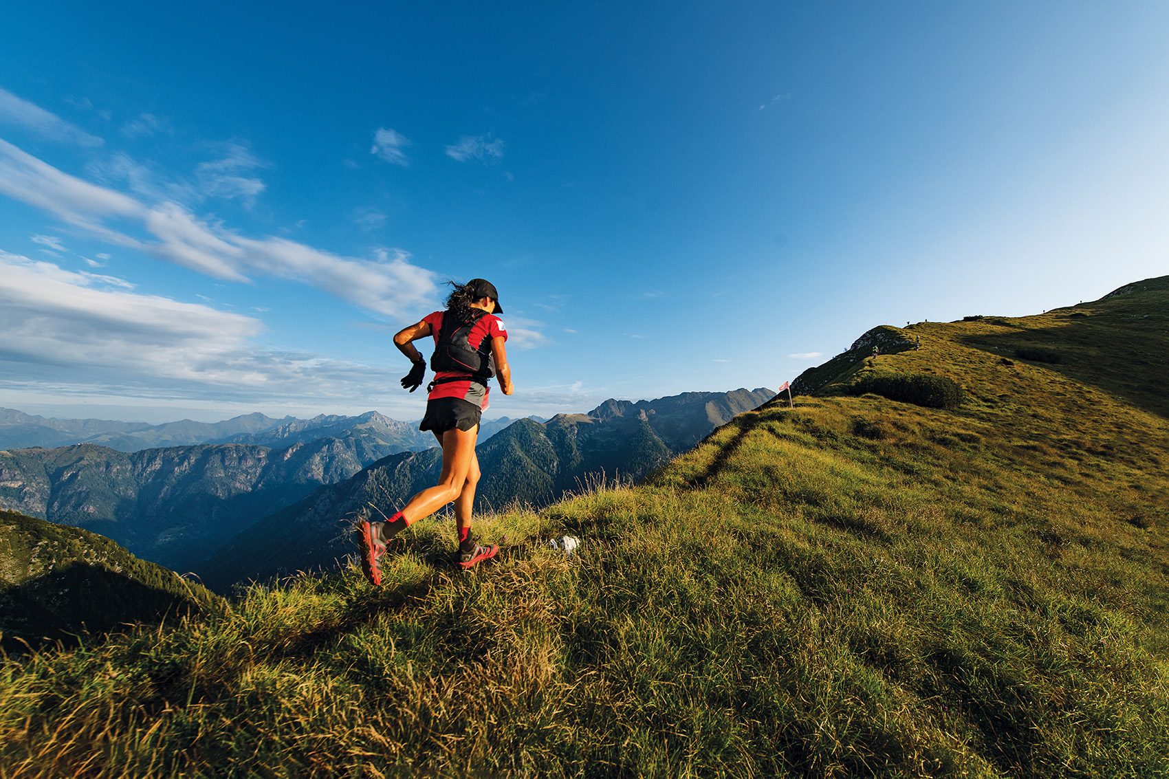 Wellness news