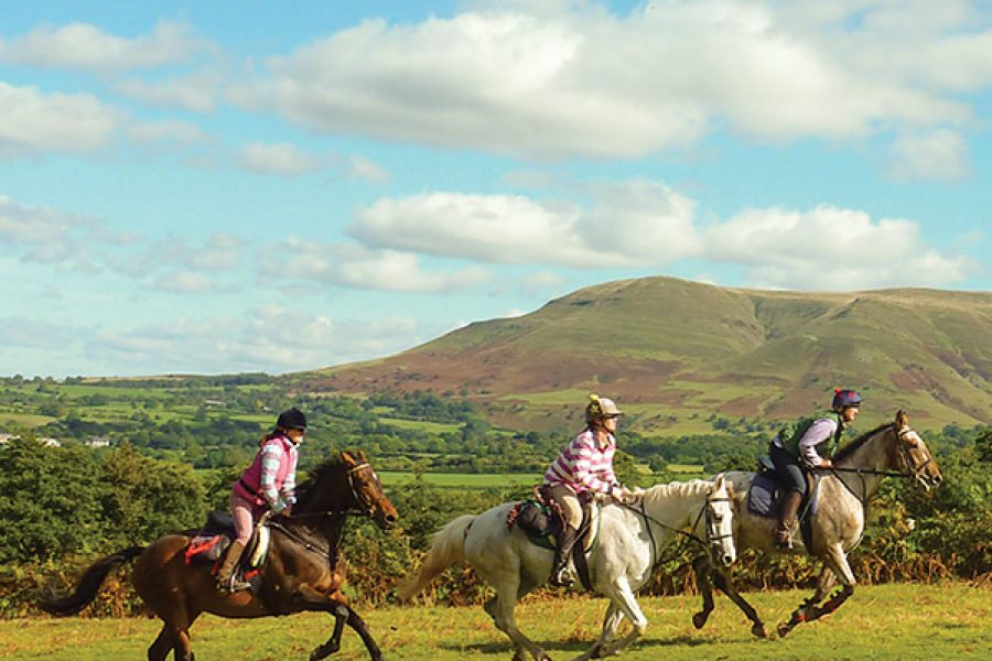 Unicorn trails horse riding UK