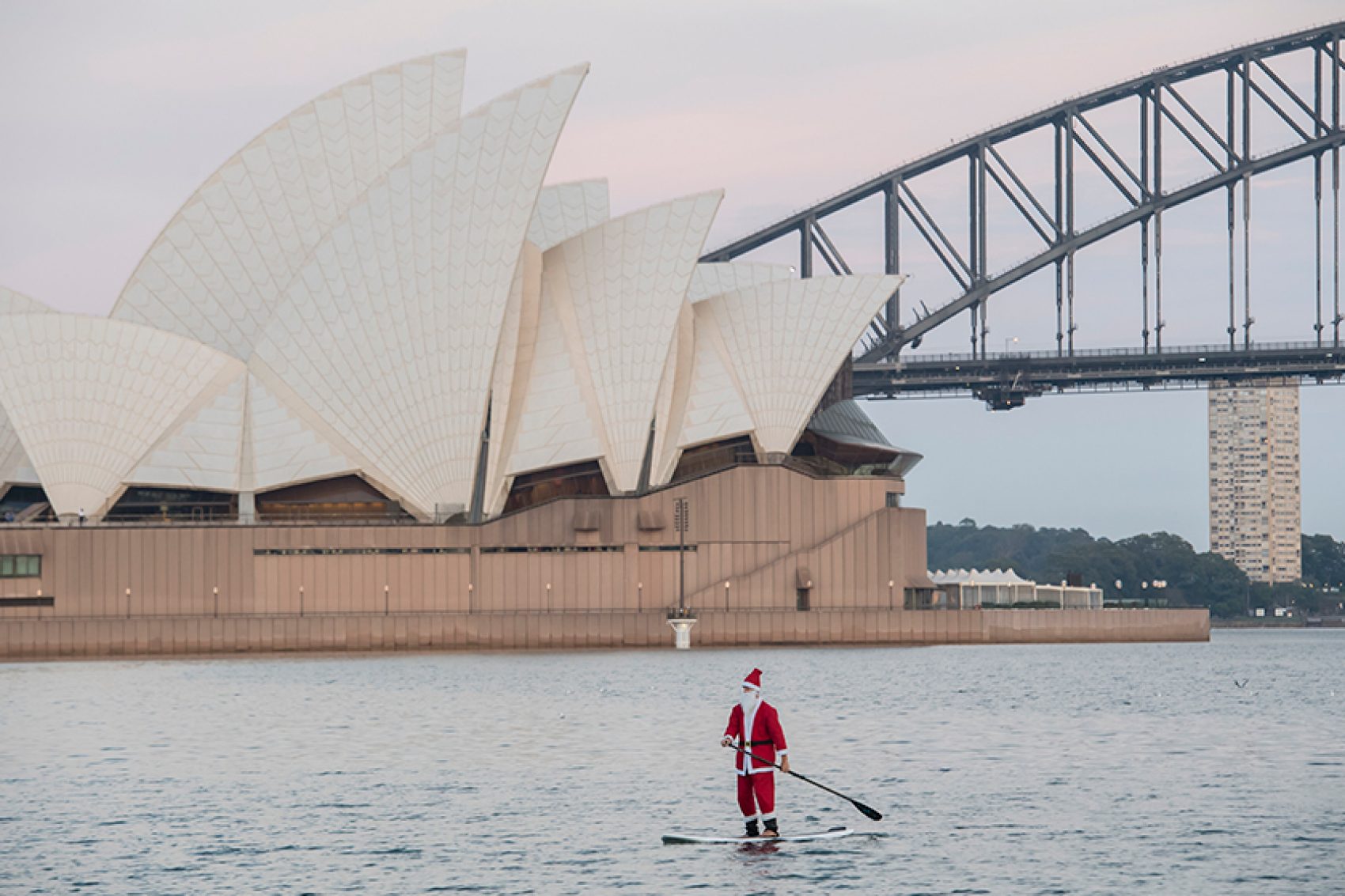 Santa paddle boarding in front of the Sydney opera house and bridge