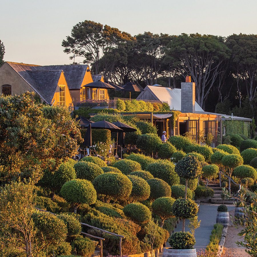 Mudbrick Vineyard and Restaurant 