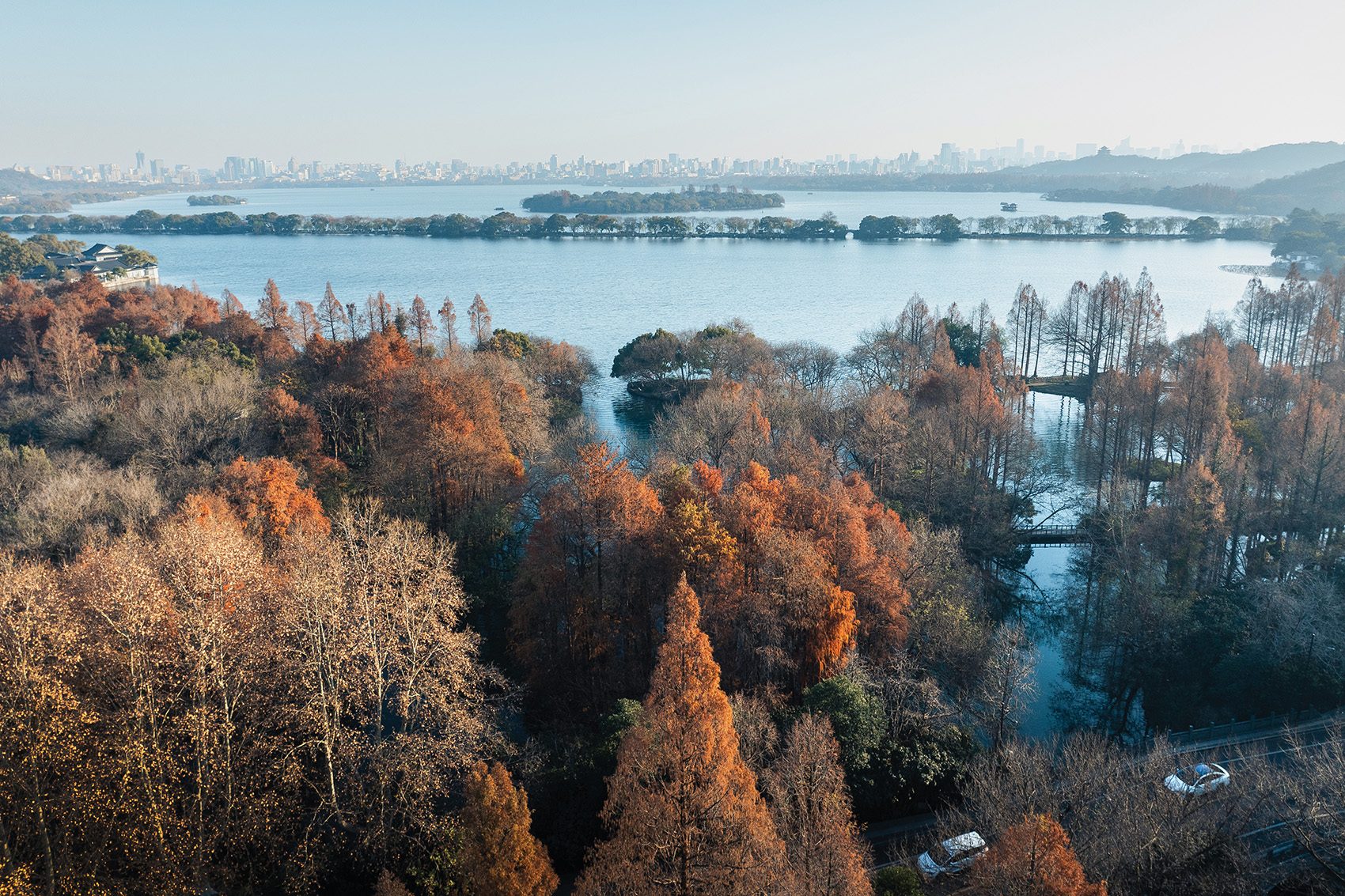 Hangzhou forest sea