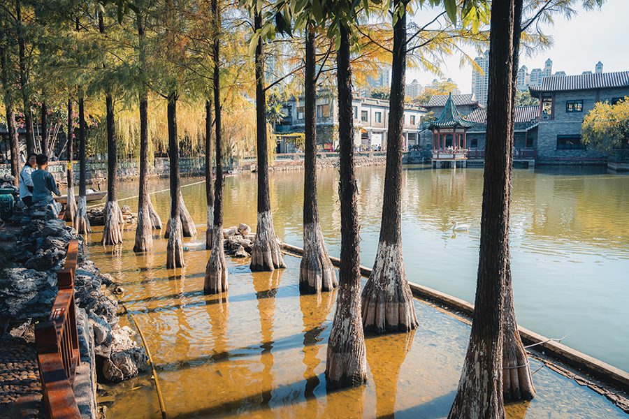 Where to start in Dongguan