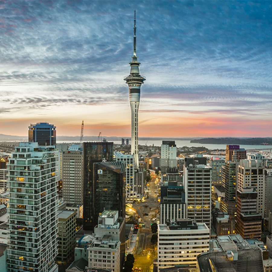 Auckland: What to see and do 