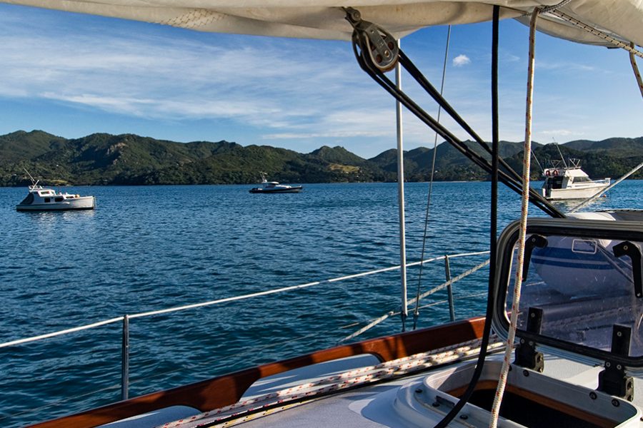 Auckland: What to see and do 
