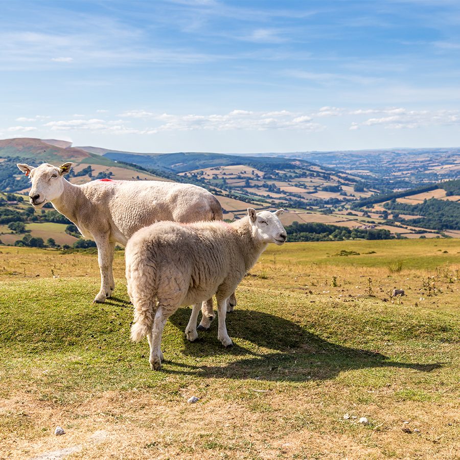 Brecon Beacons National Park