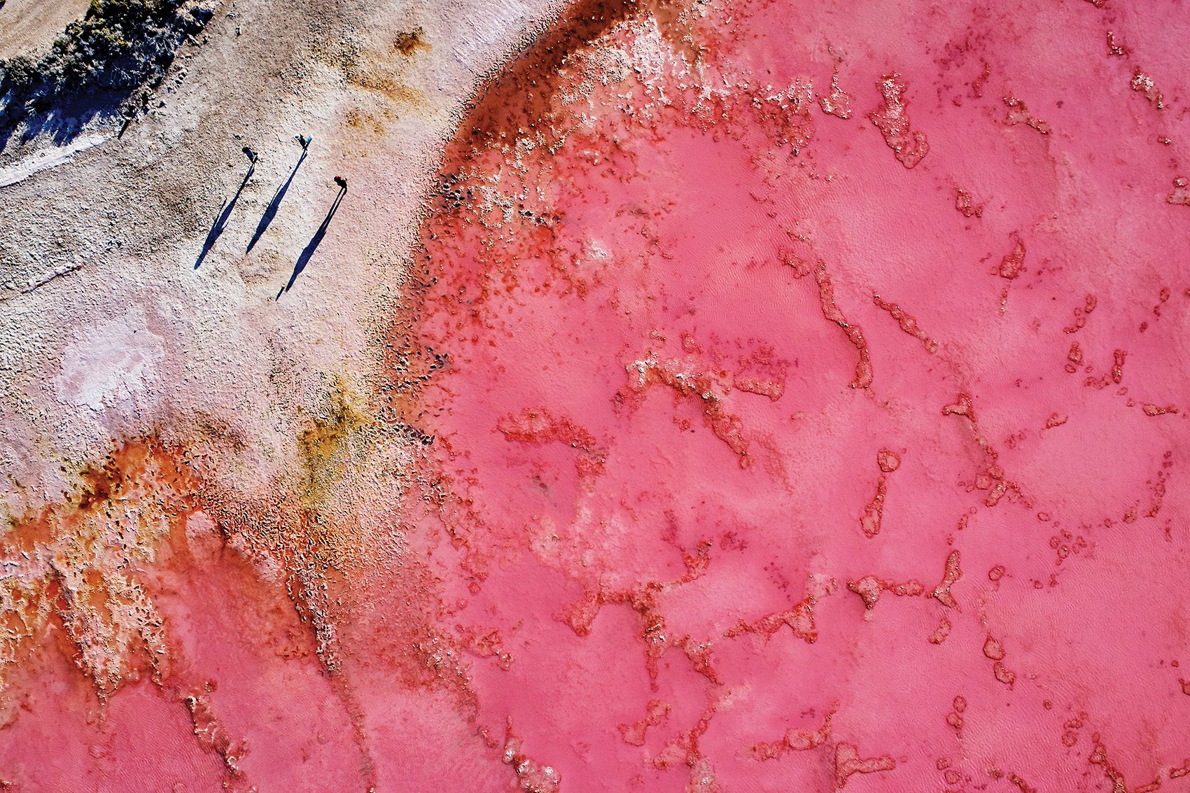 Pink sea, Western Australia