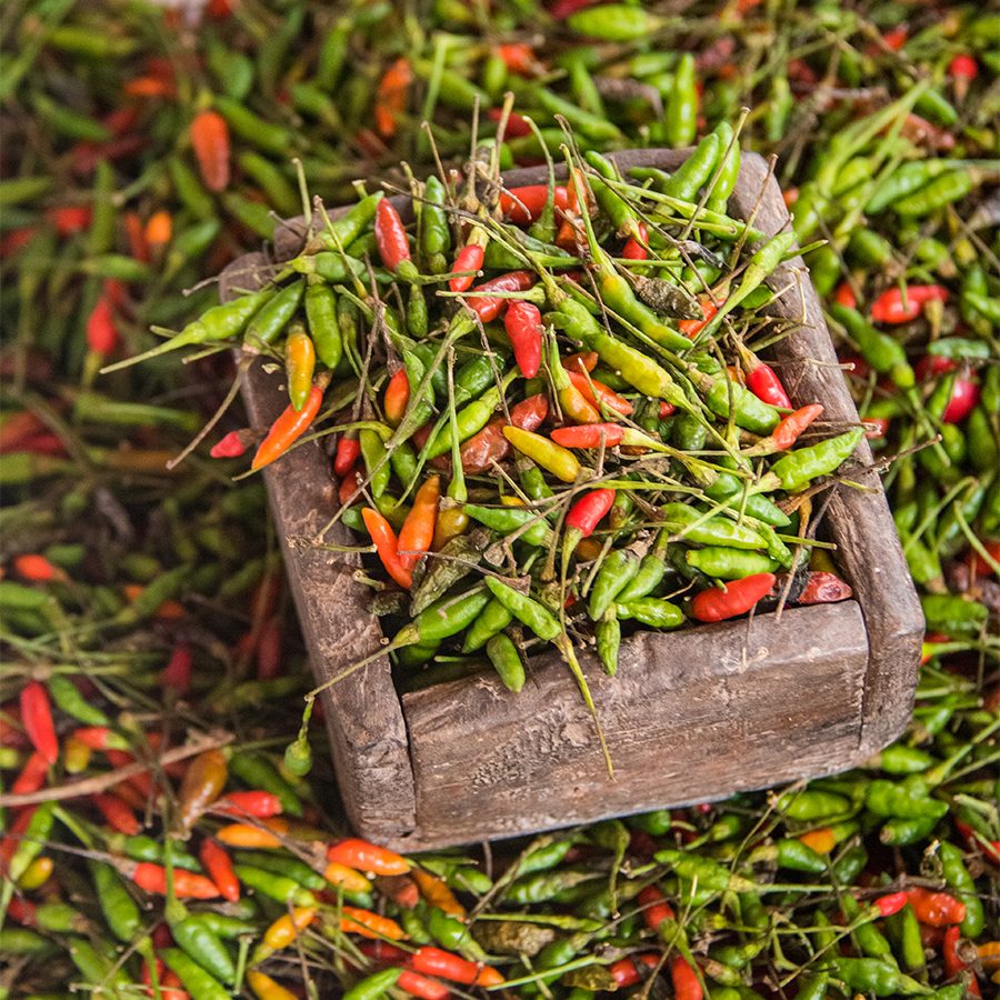 Bird's eye chilli