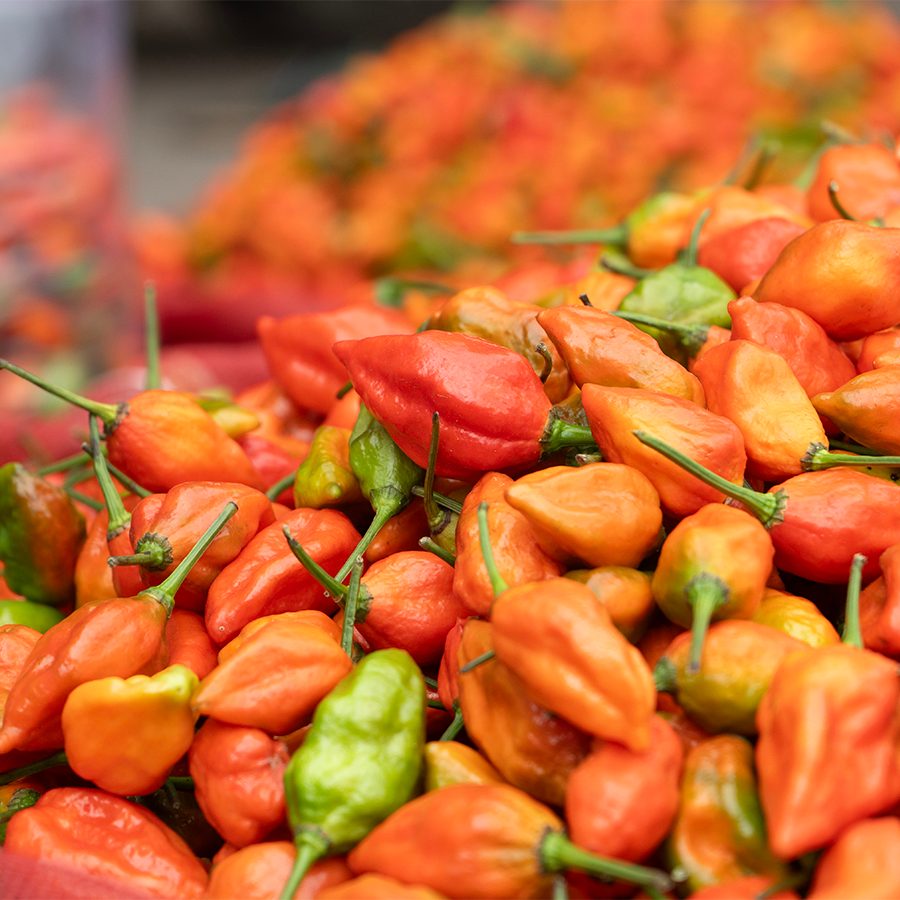 Ghost peppers