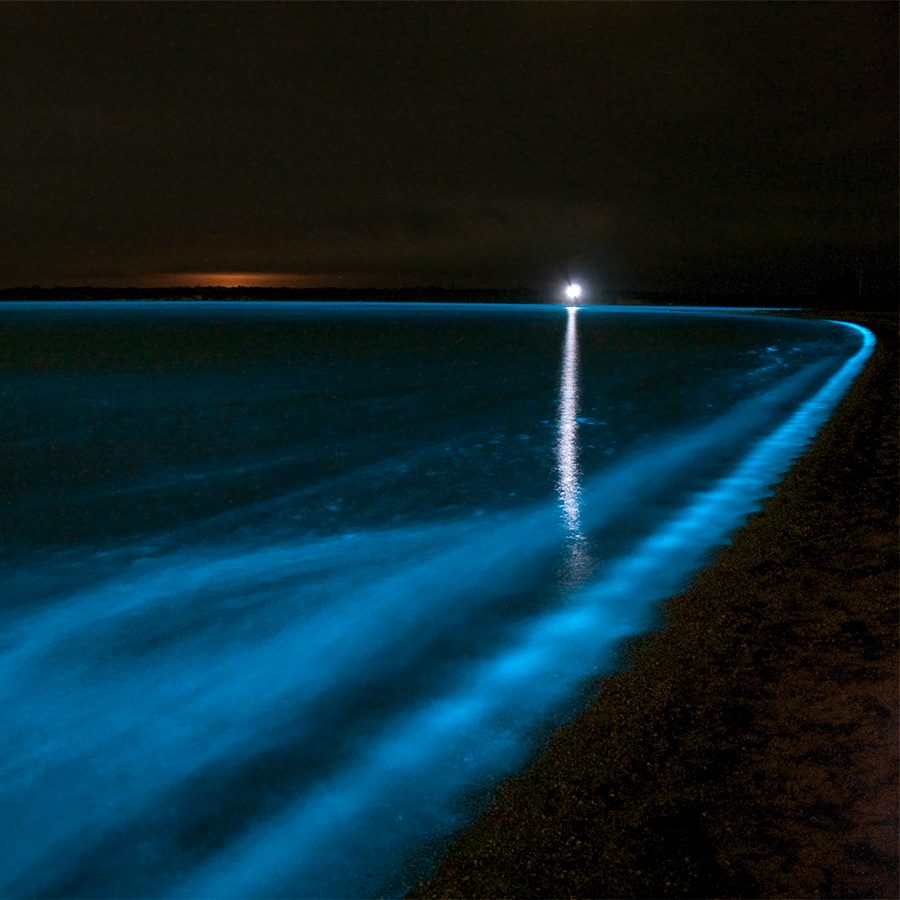 A close up of Gippsland Lakes at night 