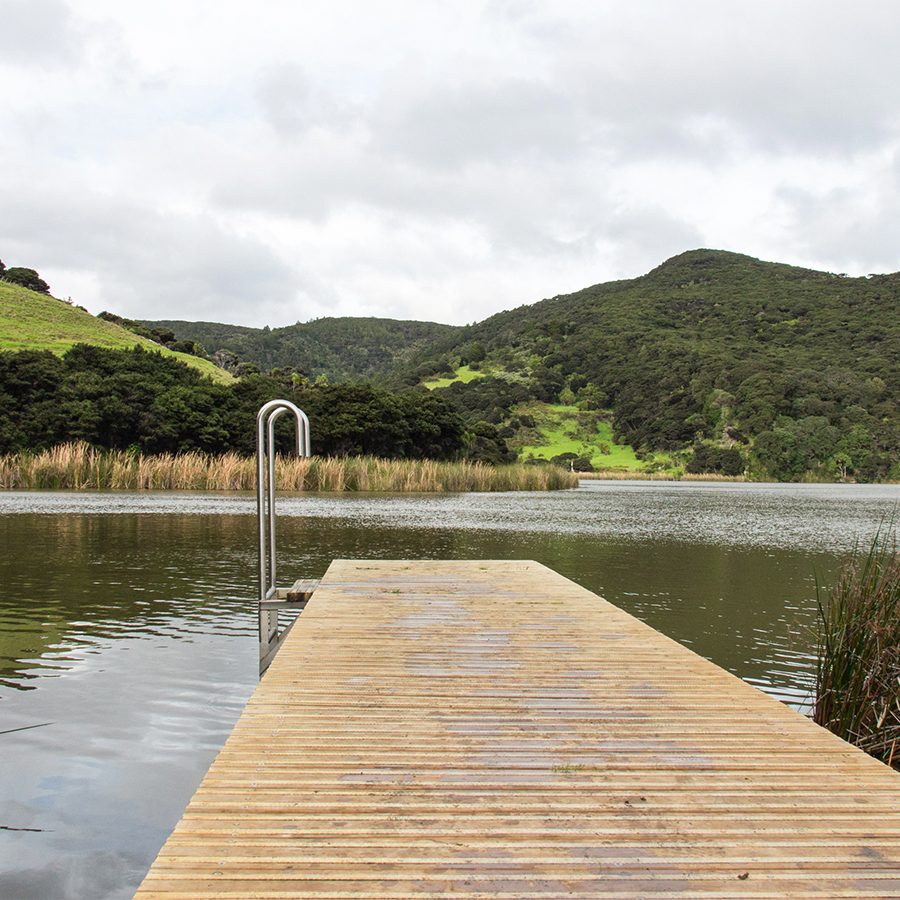 A wooden dock at Lake Wainamu with a ladder in Auckland, New Zealand
