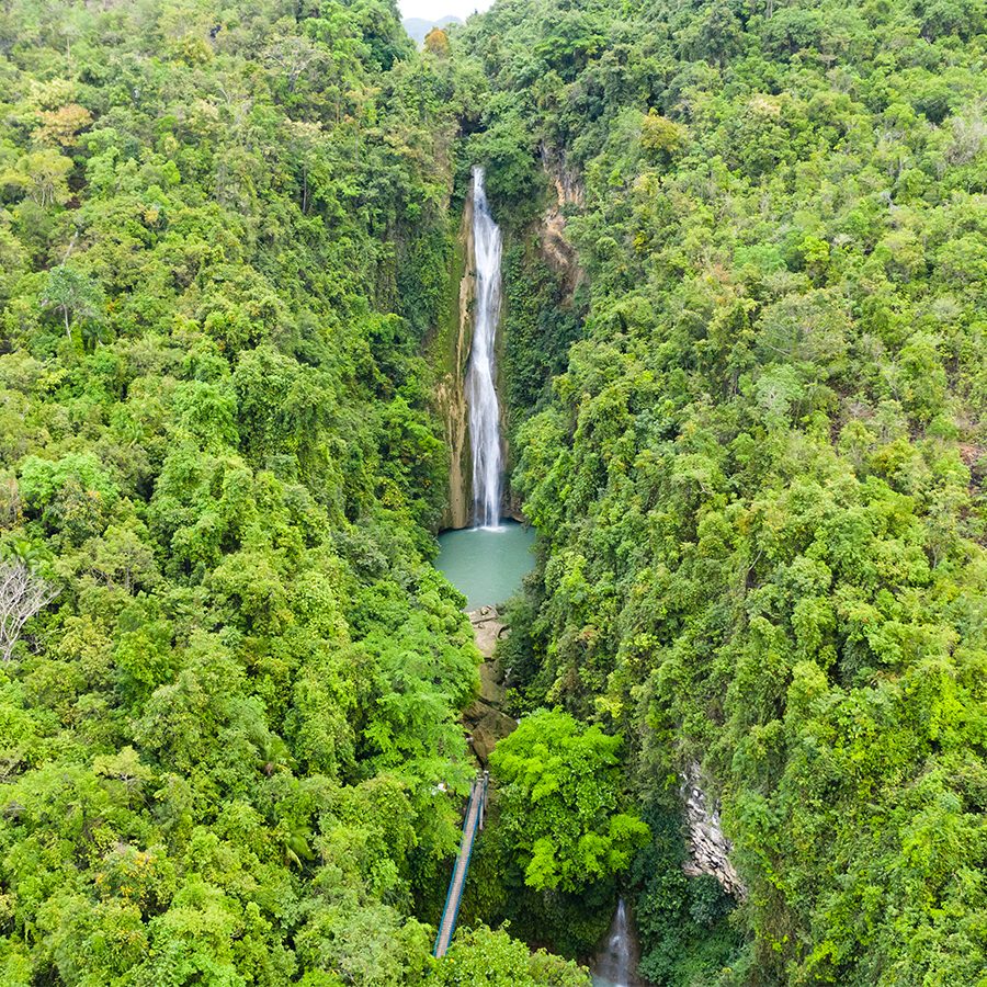 A view of Mantayupan Waterfalls surrounded by lush green forest in Cebu, Philippines