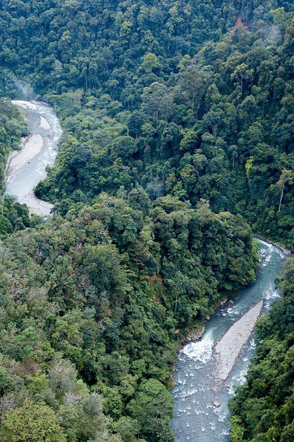Rainforest from above. North Sumatra, Indonesia