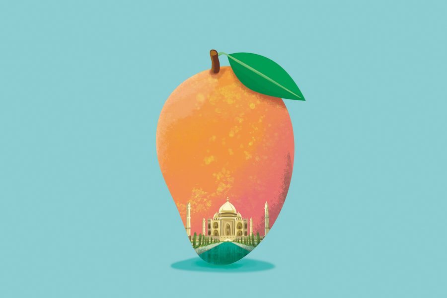 Mango illustration