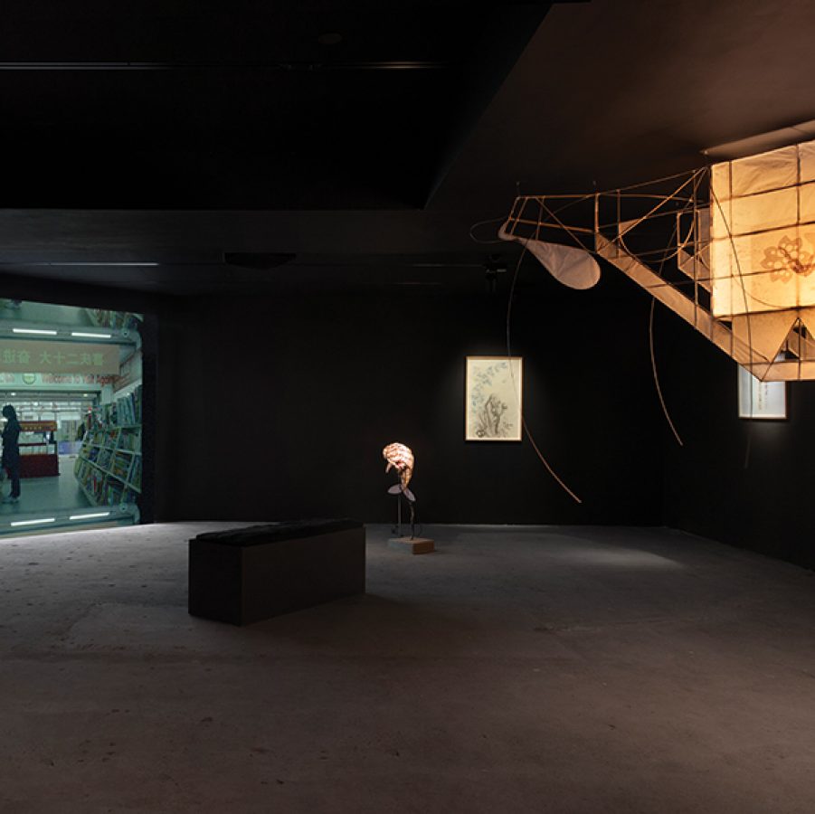 Empty Gallery