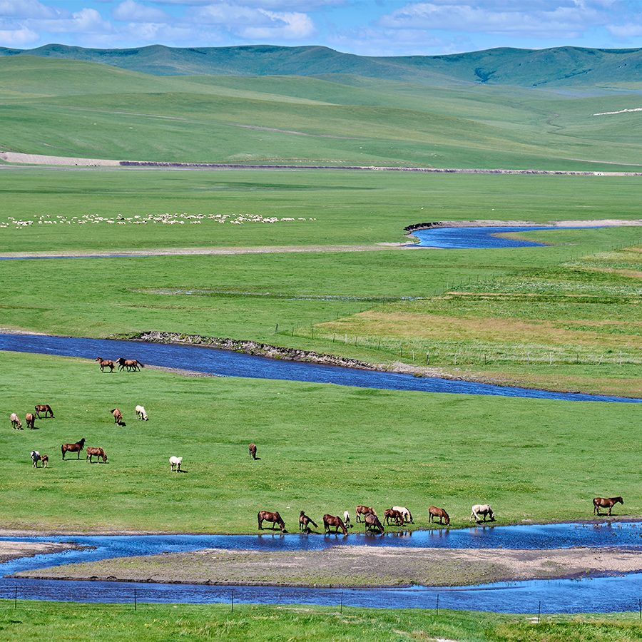 Grassland of Hulunbuir