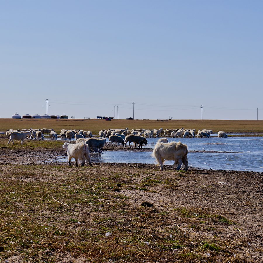 Hulun lake