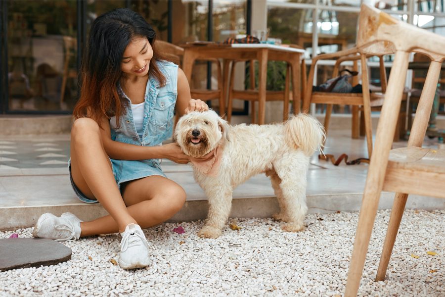 Girl sitting with her dog in a cafe