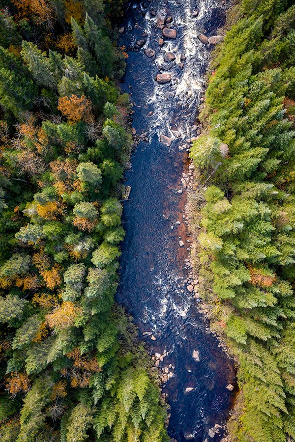 Aerial View Rivier