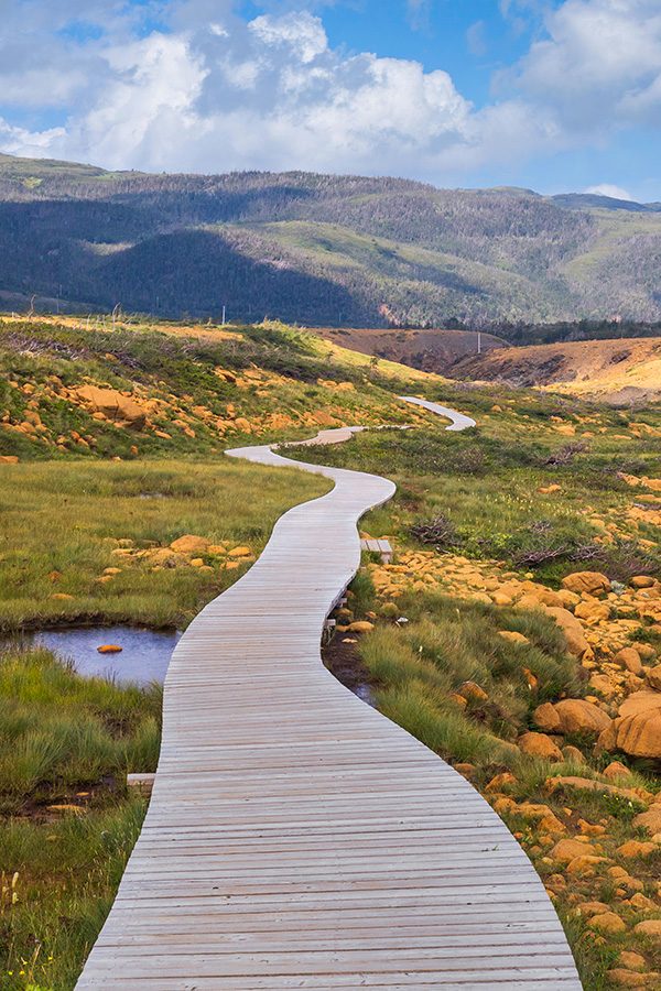Boardwalk on Tablelands