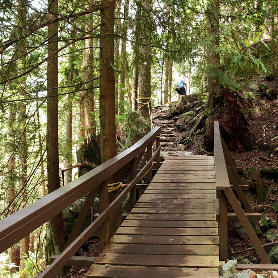 Hiking Wood Bridge