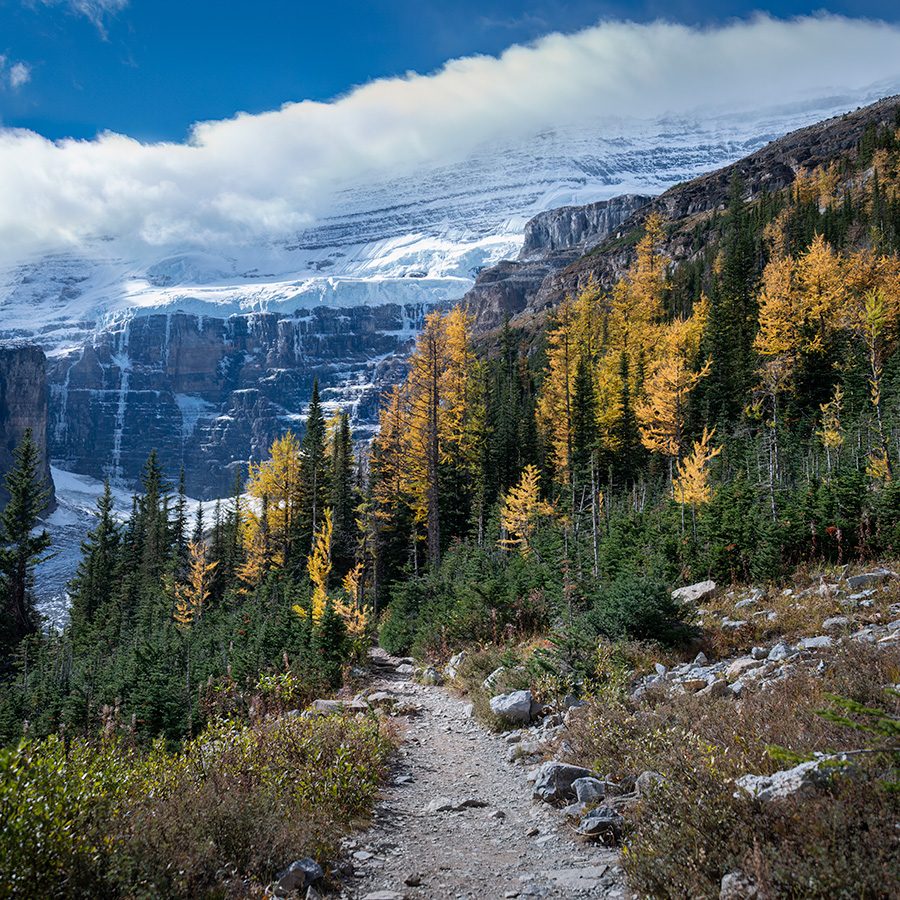 Six Glaciers track