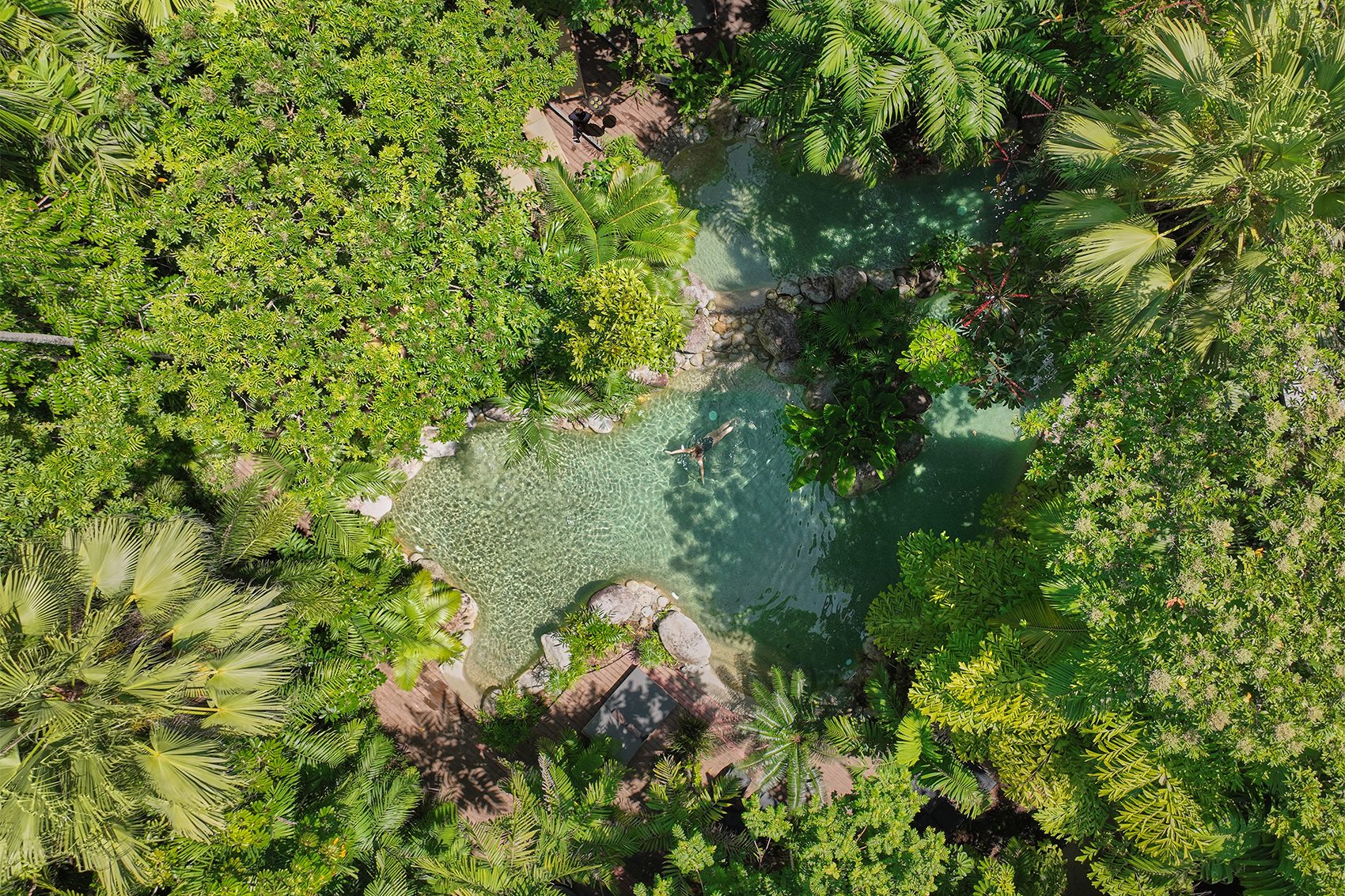 Aerial view of a swimming pool at Silky Oaks Lodge in Australia