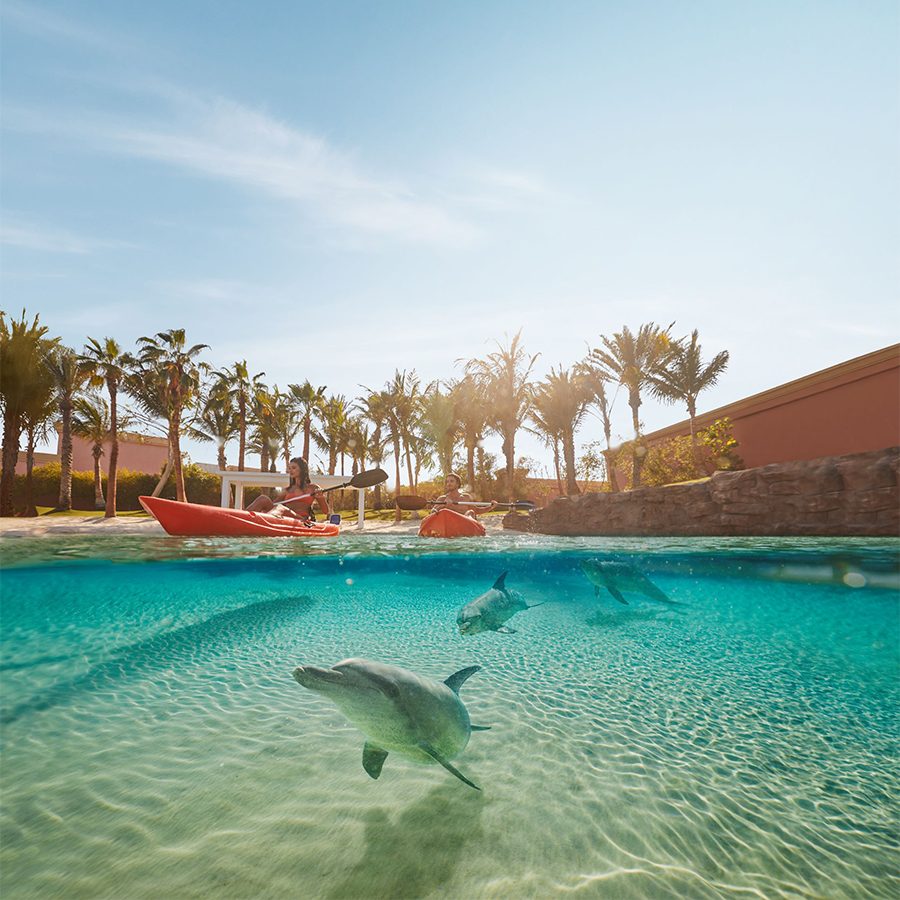 People kayak with dolphins in a clear pool at Atlantis The Palm, Dubai