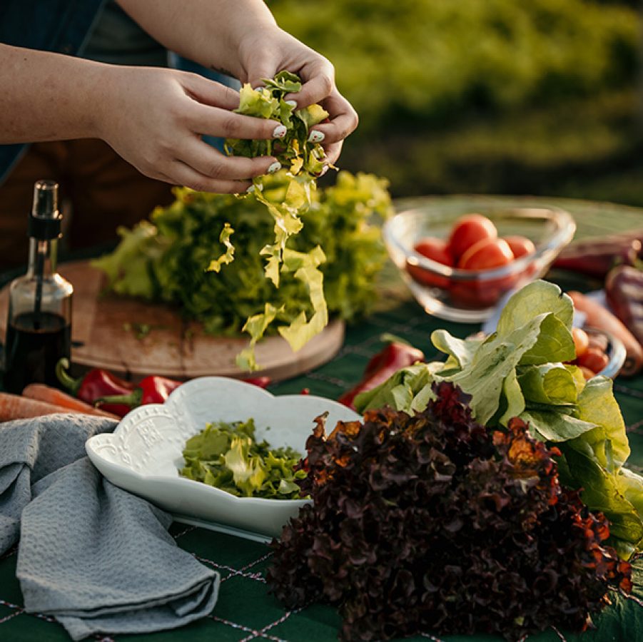 Farm to table experience - handling salad