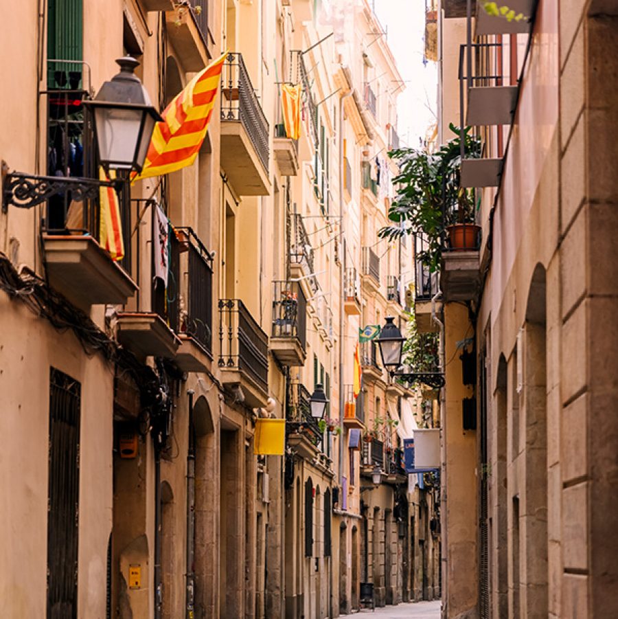 Narrow alley in the neighbourhood of El Born