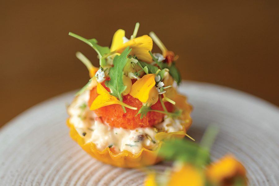 Green Star restaurant Roganic 's Rock lobster and sand carrot tartlet