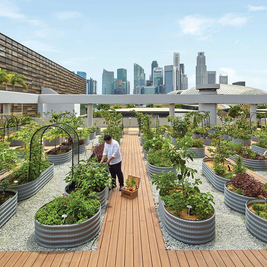 Rooftop urban farm in Parkroyal Collection Marina Bay