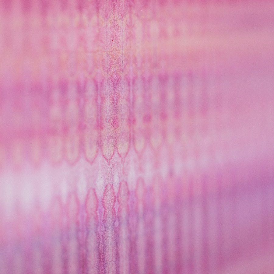 Fan Yan's mist in pink painting