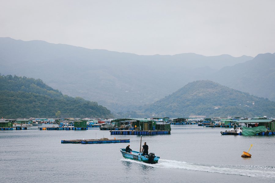 Boat in Sha Tau Kok