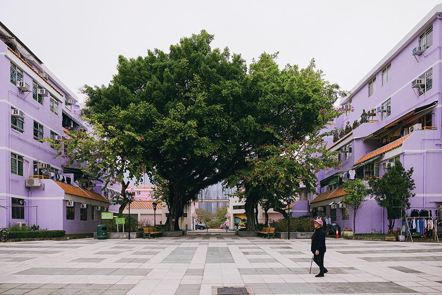 Sha Tau Kok estate