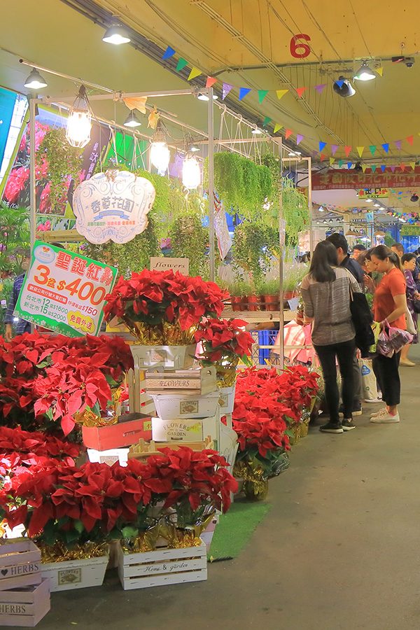 Taipei Flower Market