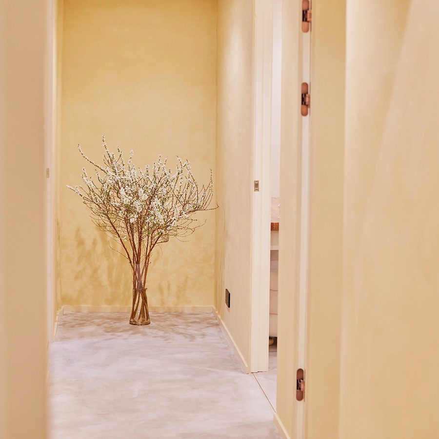 Amme eye spa