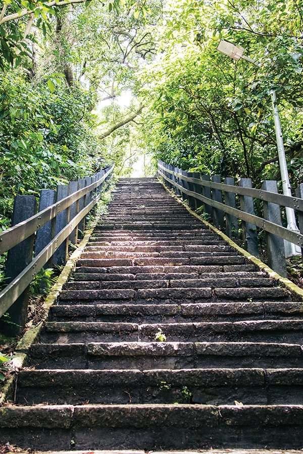 Elephant Mountain stairs 
