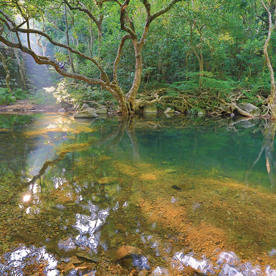 Shing Mun Country Park 