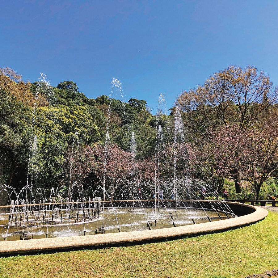 Yangmingshan National Park