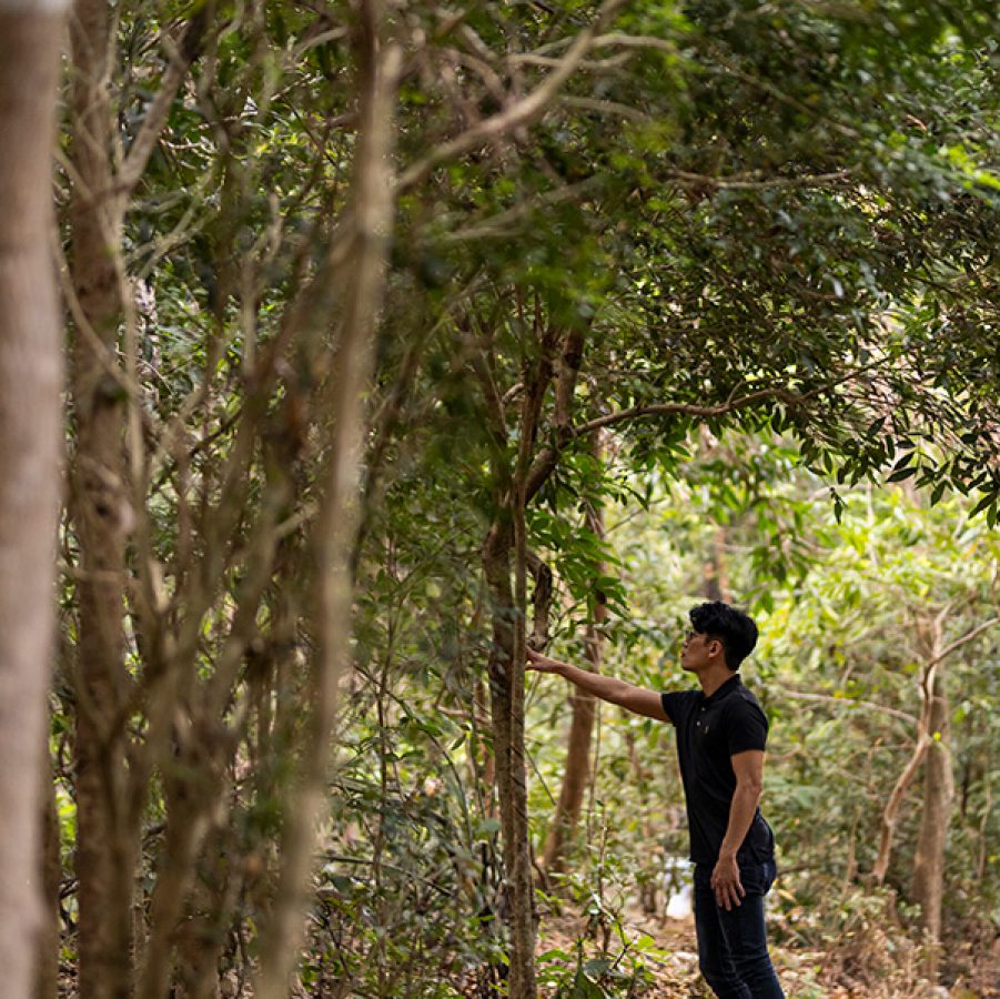 A distant photo of Koon Wai Bong walking in the forest.