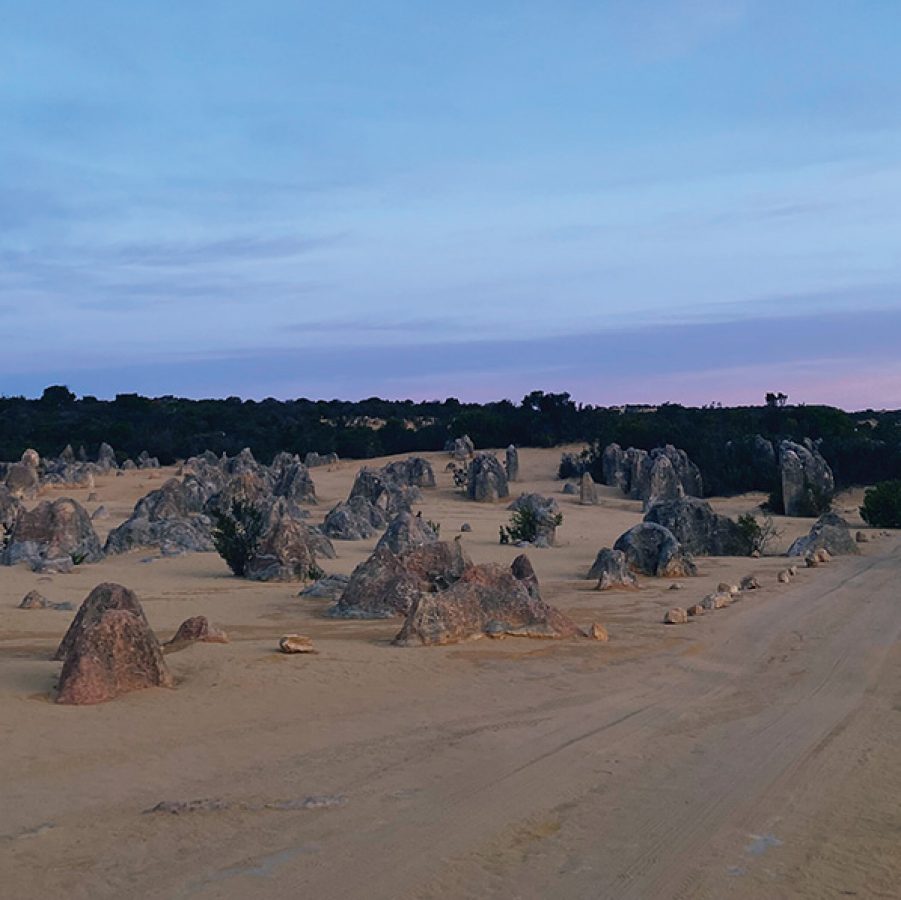 View from Pinnacles Desert 