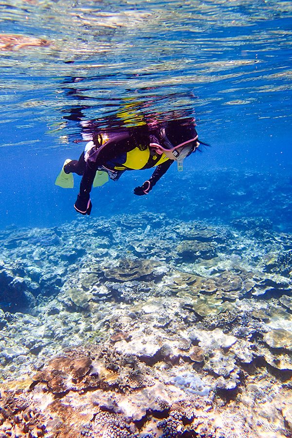 A woman enjoys snorkeling in the Yaebishi