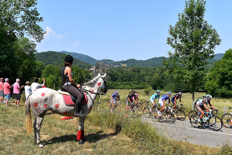 Horse rider among cyclists during Stage 12 of the 102nd Tour de France