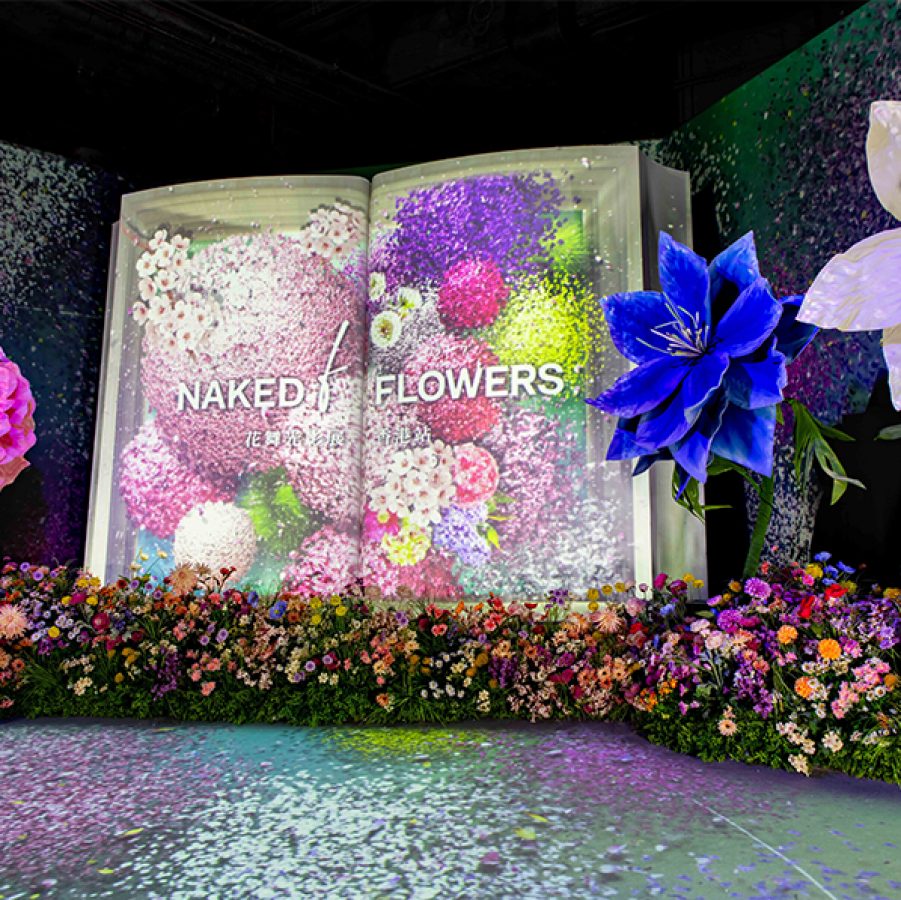 Naked Flowers at Naked Big Book