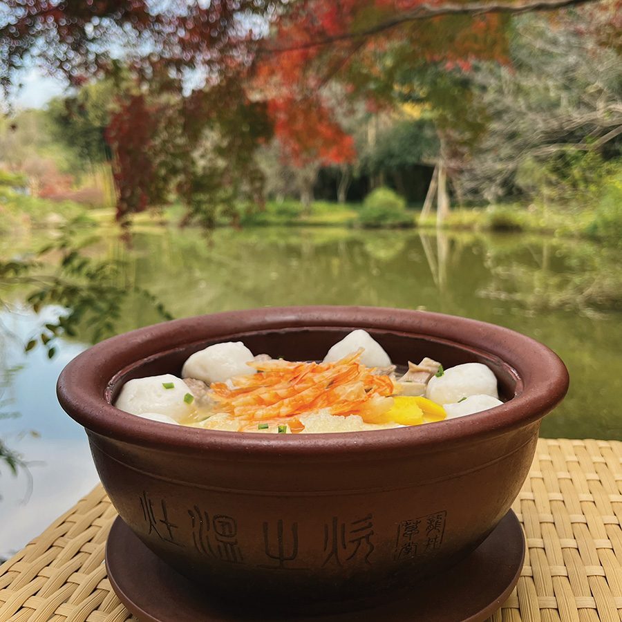 Bowl of food by lake at Dragon Well Manor