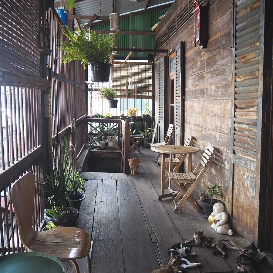 Mother roaster exterior